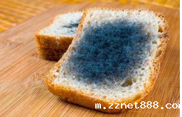 黄曲霉毒素对人体有哪些危害？