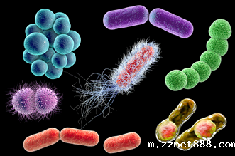 检测细菌微生物的仪器都有哪些？