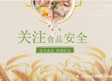 食品安全检测仪器分析食品安全的重要性