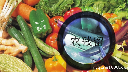 农药残留检测仪结果无法上传是什么原因？农药残留检测仪的故障排除方法