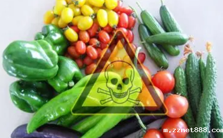 农药残留快速检测设备的功能有哪些