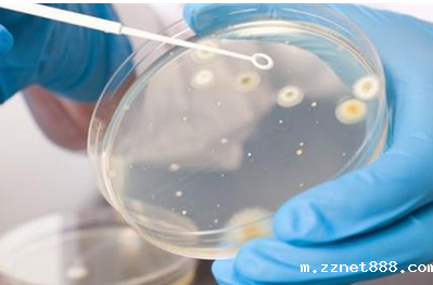 食品细菌微生物检测仪使用方法,细菌微生物检测仪介绍