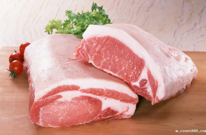 哪些国产肉食品检测设备厂家靠谱?