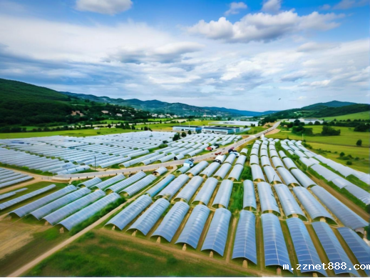农药残留检测仪走进蔬菜基地，新利体育平台官网登录检测仪助力寿光市蔬菜安全