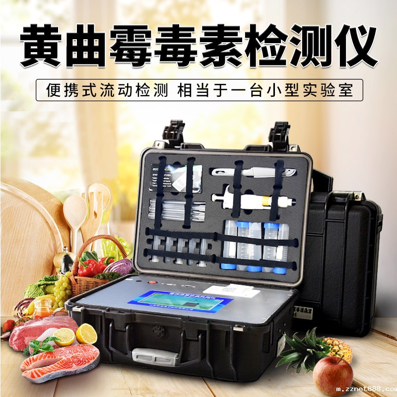 黄曲霉毒素检测方法